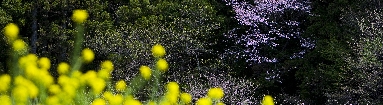 6J3P1683+.jpg