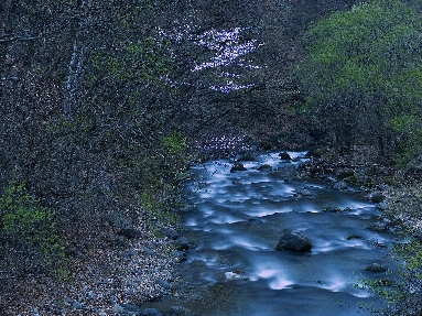 6J3P1767+.jpg