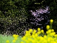 6J3P1681+.jpg
