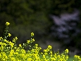 6J3P1691+.jpg