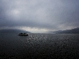 6J3P1704+.jpg