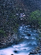 6J3P1767+.jpg