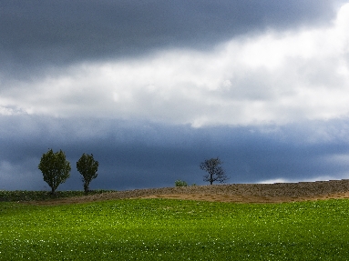 6J3P1858+.jpg
