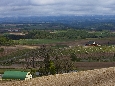 6J3P1808+.jpg