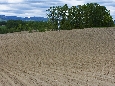 6J3P1814+.jpg