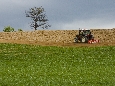 6J3P1853+.jpg