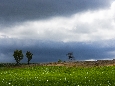 6J3P1858+.jpg