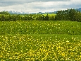 6J3P1876+.jpg