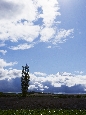 6J3P1908+.jpg
