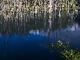 6J3P1948+.jpg