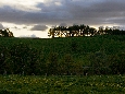 6J3P1981+.jpg