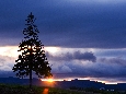 6J3P2009+.jpg