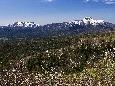 6J3P2056+.jpg