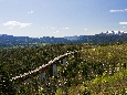6J3P2075+.jpg