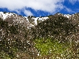 6J3P2118+.jpg