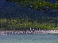 6J3P2156+.jpg