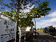 6J3P2178+.jpg