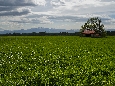 6J3P2223+.jpg