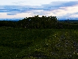 6J3P2269+.jpg