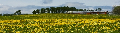 6J3P2558+.jpg