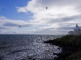 6J3P2349+.jpg