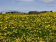 6J3P2541+.jpg