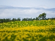 6J3P2597+.jpg