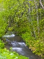 6J3P2622+.jpg