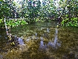 6J3P2672+.jpg