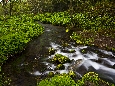 6J3P2675+.jpg