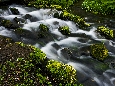 6J3P2678+.jpg