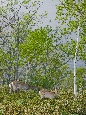 6J3P2840+.jpg