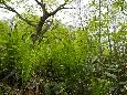 6J3P2893+.jpg