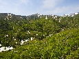 6J3P2925+.jpg