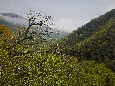 6J3P2931+.jpg