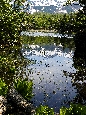 6J3P3112+.jpg