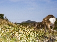 6J3P3010+.jpg