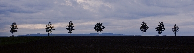 6J3P3200+.jpg