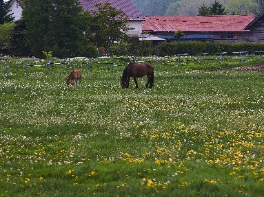 6J3P3545+.jpg