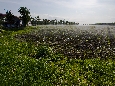 6J3P3174+.jpg
