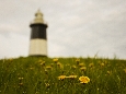 6J3P3244+.jpg