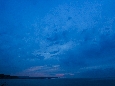 6J3P3365+.jpg