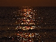6J3P3478+.jpg