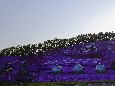 6J3P3507+.jpg