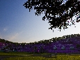 6J3P3511+.jpg