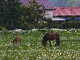 6J3P3545+.jpg