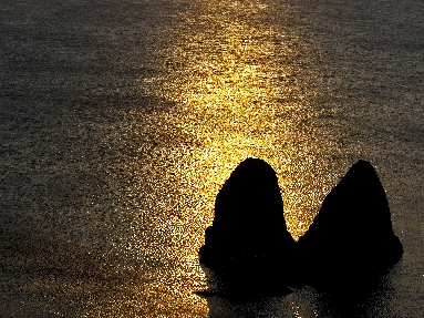 6J3P3791+.jpg