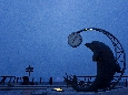 6J3P3642+.jpg