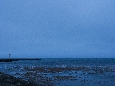 6J3P3656+.jpg