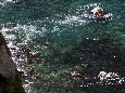 6J3P3728+.jpg